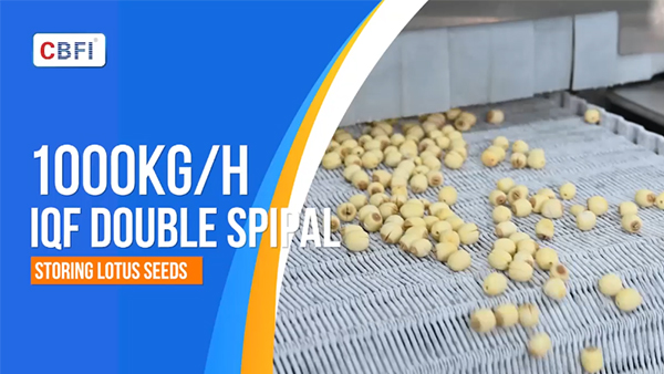 Congelador rápido de doble espiral de 1 tonelada por hora para semillas de loto