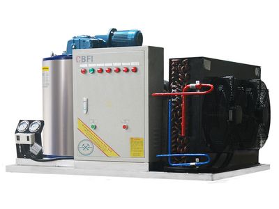 Fabricadora de Hielo en Escamas BF1000