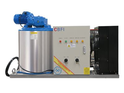 Fabricadora de Hielo en Escamas BF1000
