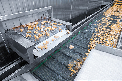 Proyecto de Congelación Rápida de 1,500 kg/h para Aves en Guangxi, China