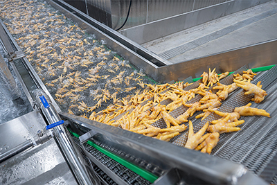 Proyecto de Congelación Rápida de 1,500 kg/h para Aves en Guangxi, China