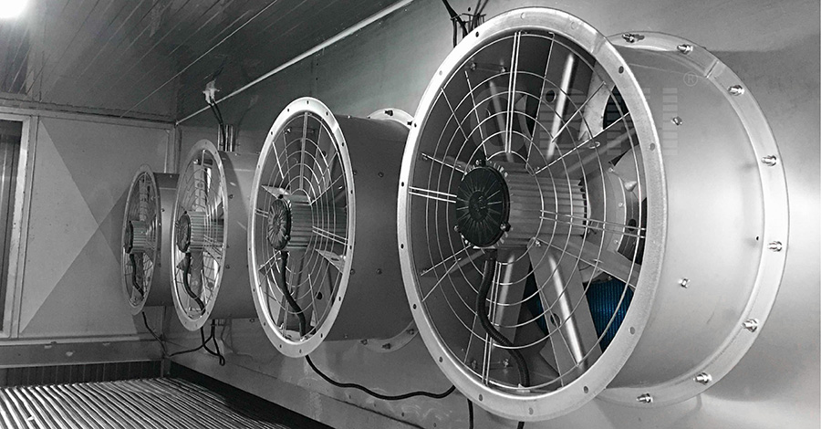 Túnel de congelación de 2 toneladas para brócoli y col en China