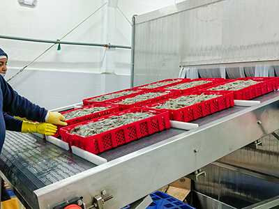 Congelador rápido en salmuera de 2000 kg/h para camarones congelados en Ecuador