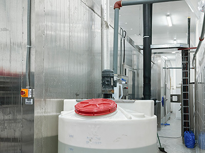 Congelador rápido en salmuera de 2000 kg/h para camarones congelados en Ecuador