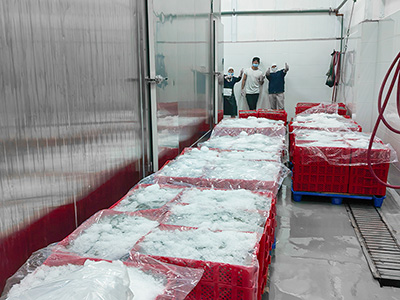 Congelador rápido en salmuera de 2000 kg/h para camarones congelados en Ecuador