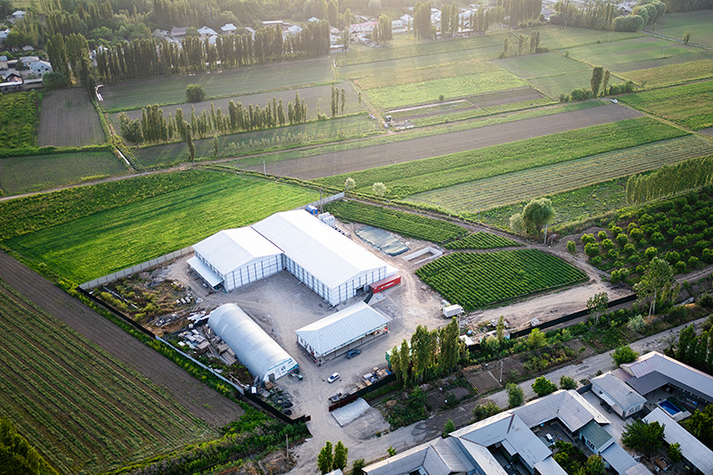 Congelador rápido de lecho fluidizado de 2000 kg/h para frutos rojos en Kirguistán