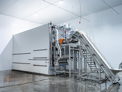 Congelador rápido de lecho fluidizado de 2000 kg/h para frutos rojos en Kirguistán