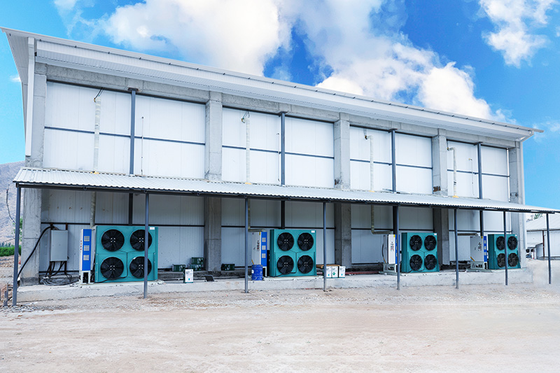 Congelador rápido de lecho fluidizado de 2000 kg/h para frutos rojos en Kirguistán