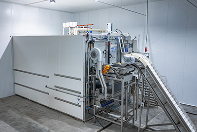 Congelador rápido de lecho fluidizado de 2000 kg/h para frutos rojos en Kirguistán