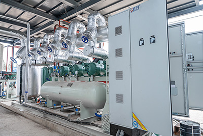 Congelador rápido de lecho fluidizado de 2000 kg/h para frutos rojos en Kirguistán