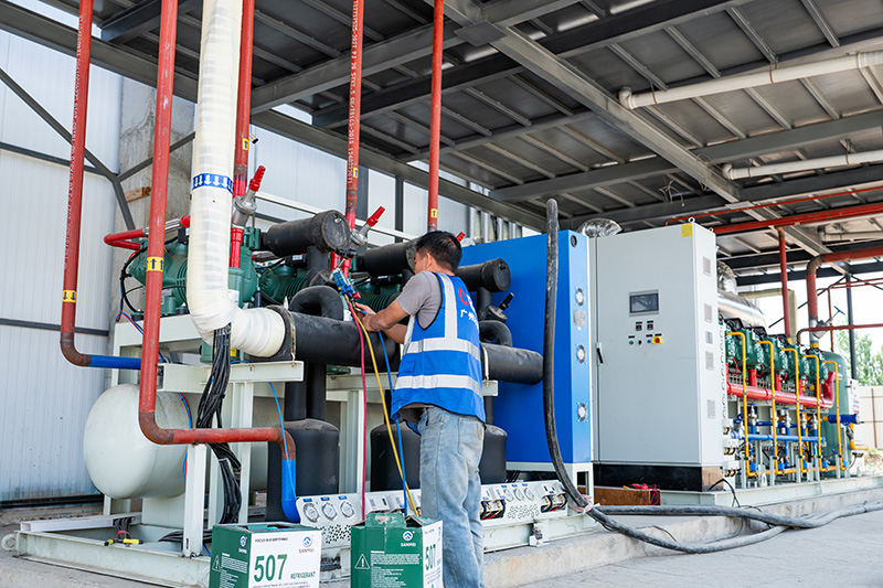 Congelador rápido de lecho fluidizado de 2000 kg/h para frutos rojos en Kirguistán