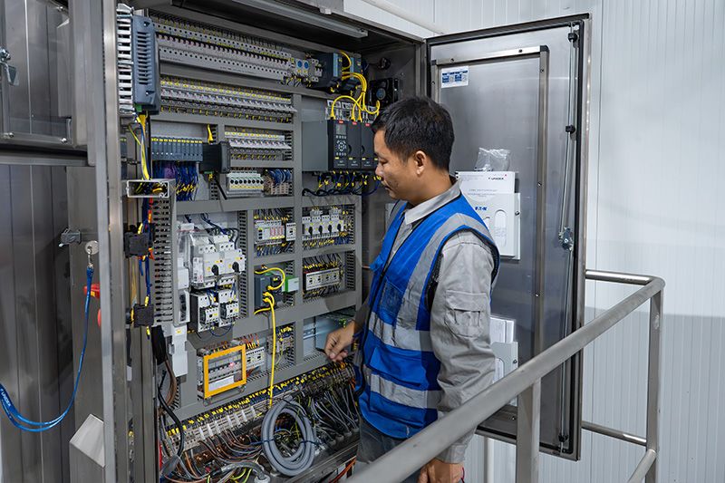 Congelador rápido de lecho fluidizado de 2000 kg/h para frutos rojos en Kirguistán