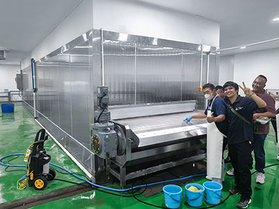 Túnel de congelación para filetes de pescado en Indonesia