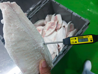 Túnel de congelación para filetes de pescado en Indonesia