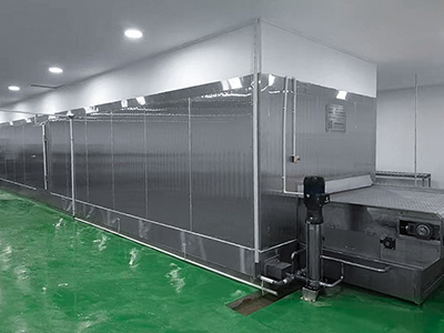 Túnel de congelación para filetes de pescado en Indonesia