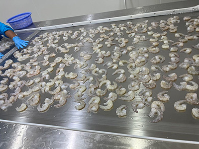 Túnel de congelación rápida para camarones congelados en Tailandia