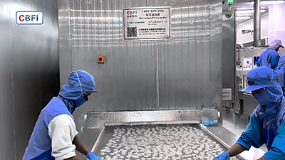 Túnel de congelación rápida para camarones congelados en Tailandia